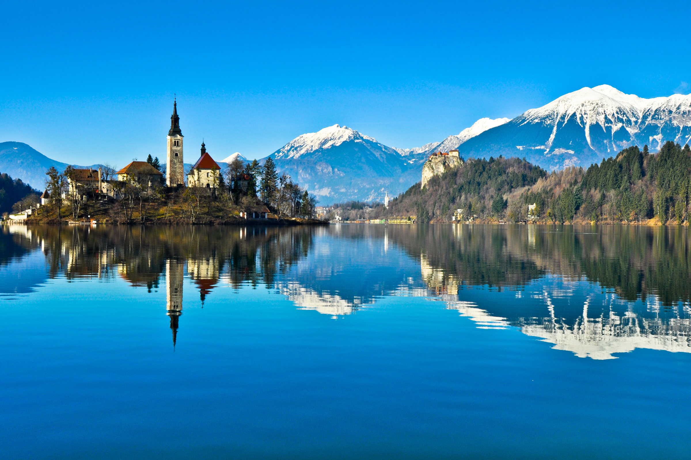 bled (4).webp